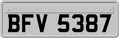 BFV5387