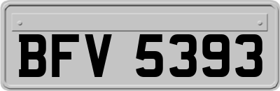 BFV5393