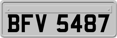BFV5487