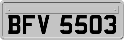 BFV5503