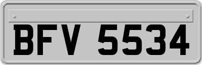 BFV5534