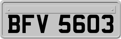 BFV5603