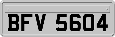 BFV5604
