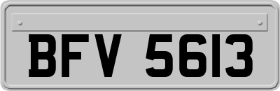 BFV5613