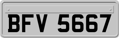 BFV5667