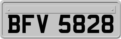 BFV5828
