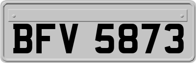 BFV5873