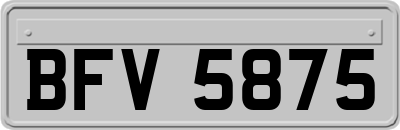 BFV5875