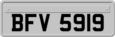 BFV5919