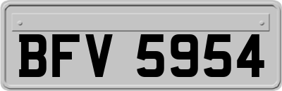 BFV5954
