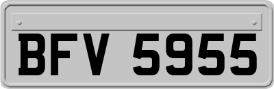 BFV5955