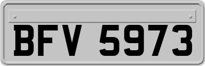 BFV5973