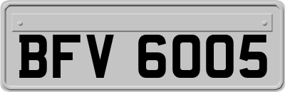 BFV6005