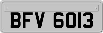 BFV6013