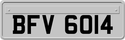 BFV6014