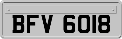 BFV6018