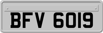 BFV6019