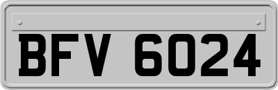 BFV6024
