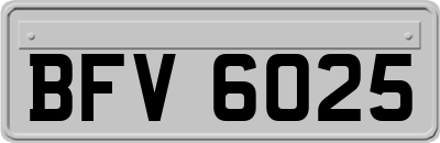 BFV6025