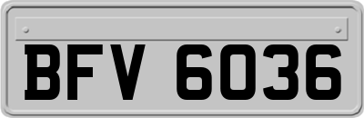 BFV6036