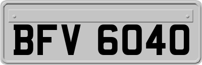 BFV6040