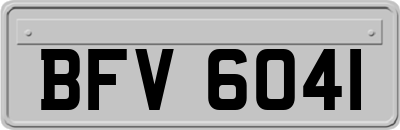 BFV6041