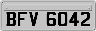 BFV6042