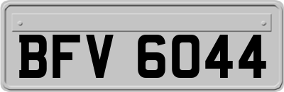 BFV6044