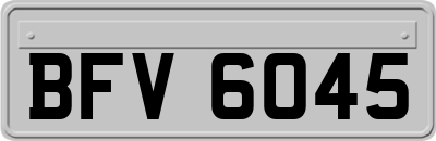 BFV6045