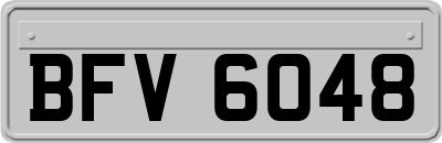 BFV6048