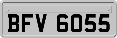 BFV6055