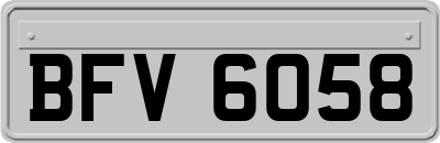 BFV6058
