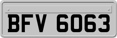 BFV6063