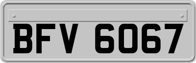 BFV6067