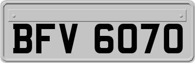 BFV6070
