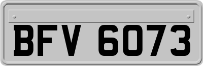 BFV6073