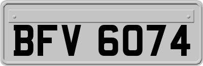 BFV6074