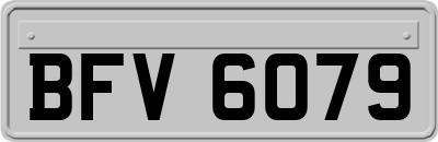 BFV6079