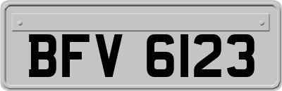 BFV6123