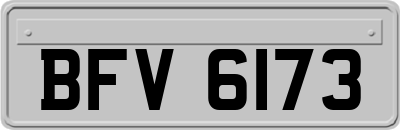 BFV6173