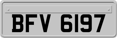 BFV6197