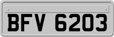 BFV6203
