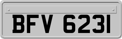 BFV6231