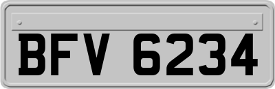 BFV6234