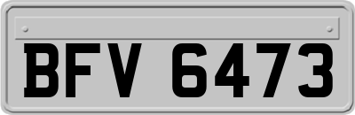 BFV6473