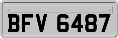 BFV6487