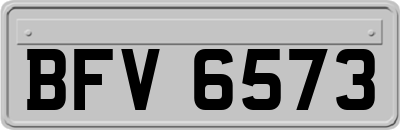 BFV6573