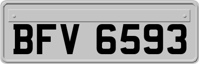 BFV6593
