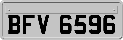 BFV6596