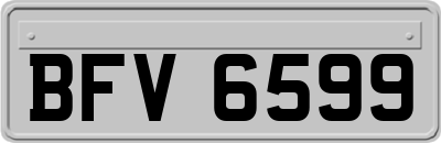 BFV6599